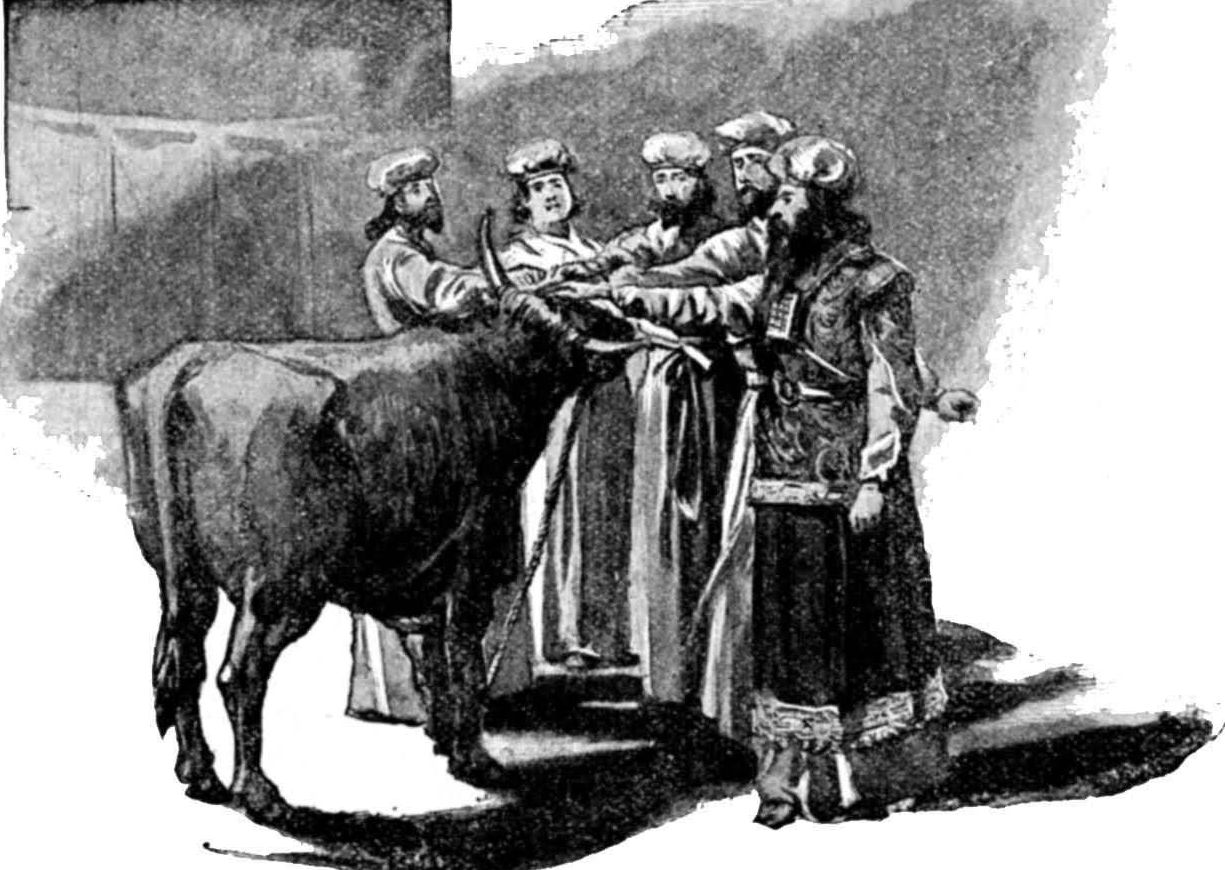 Priests laying hands on the bull